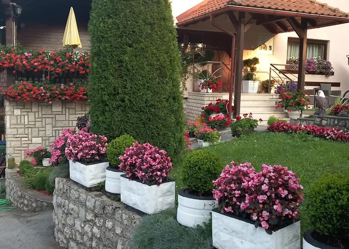 Апартаменты Vihor *