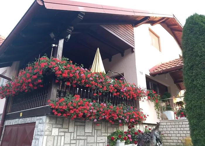 Vihor Апартаменты *