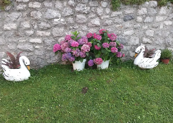 Vihor Апартаменты Златибор